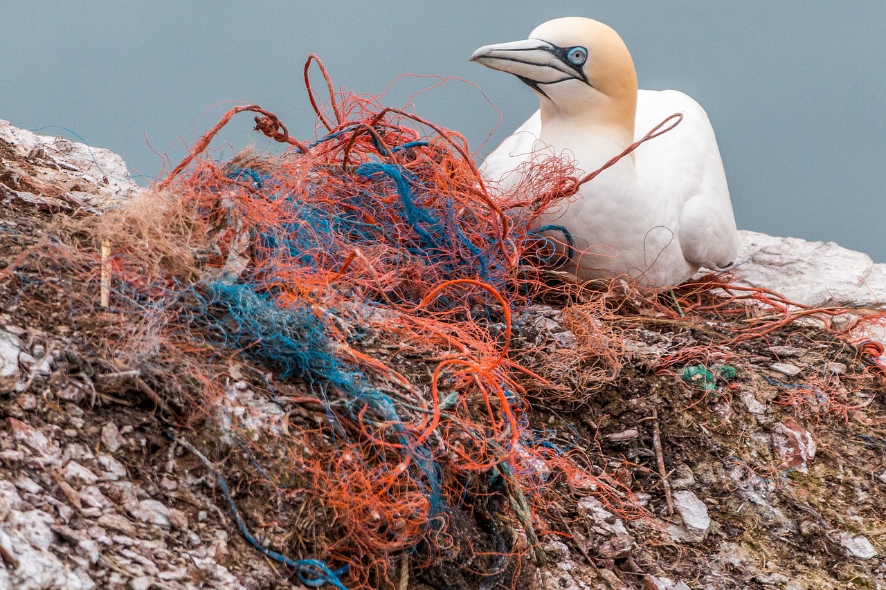 International Tourism Plastic Pledge